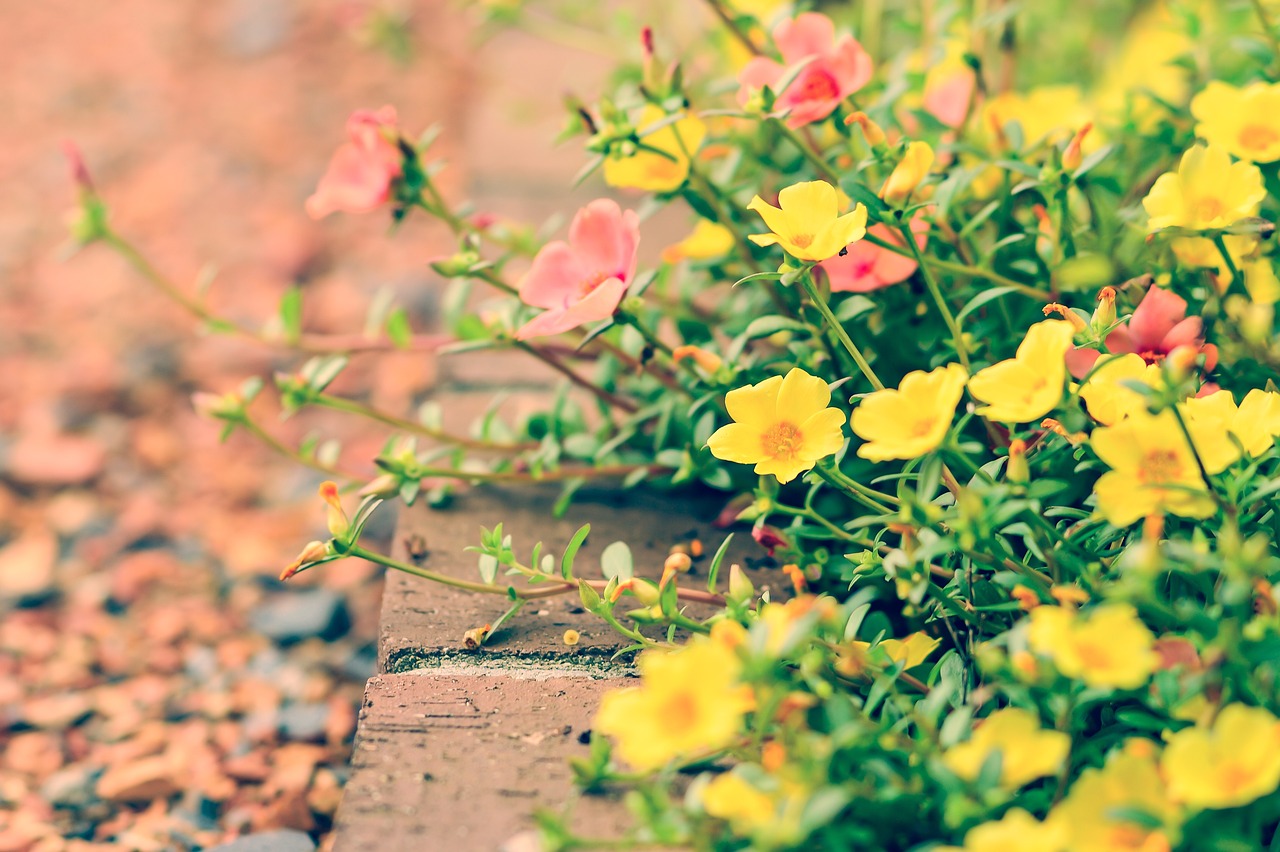 Designing Beautiful Backyard Flower Beds